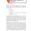 Termination Of Employment Understanding The Process - Image 4